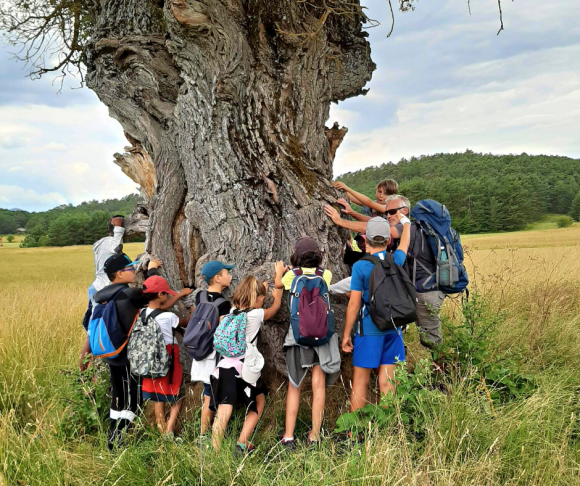Séjours scolaires 2025/2026 odel